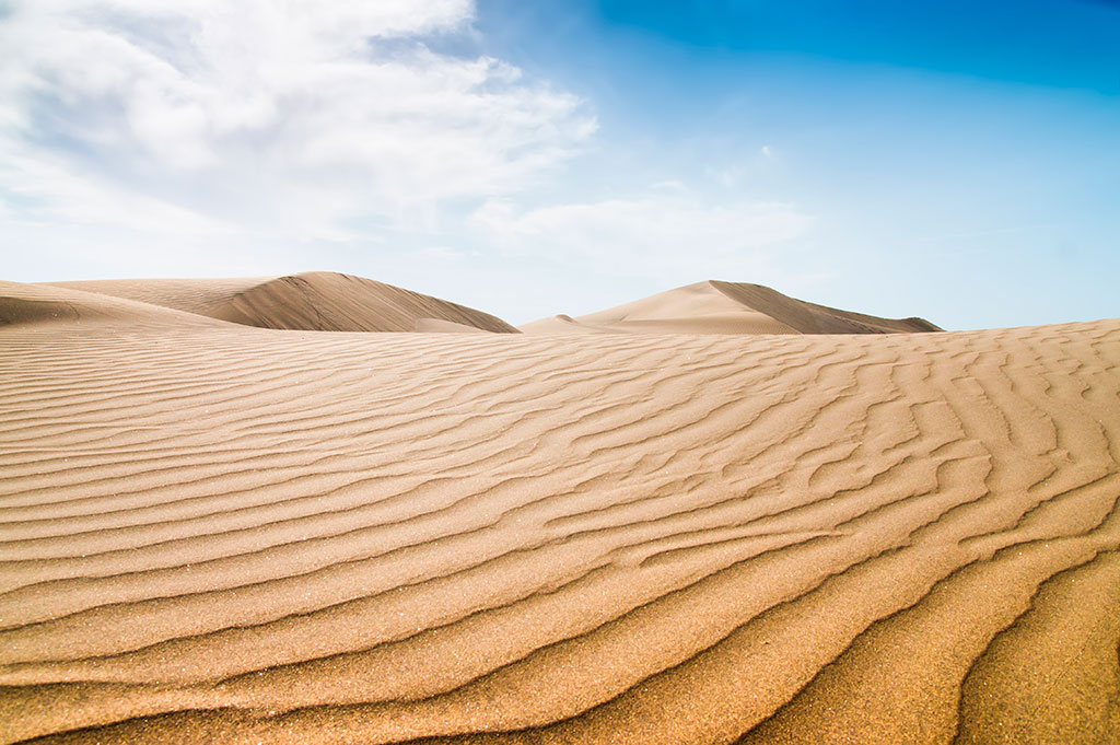 Día de las letras canarias. Paisaje canario.